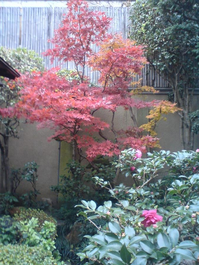旅館　椿荘 奈良市 エクステリア 写真